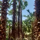 يوجد لدينا واشنطن بجميع مقاساته