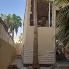 يوجد لدينا اجميع انواع لنخيل العربي والوشنطن والأشجار زينه