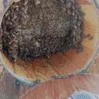 القنفذة احد بني زيد