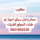 مطلوب حمام زاجل سباق اجواز او طبات الموقع القريات