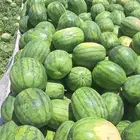 هل تبحث عن استثمار واعد ومتكامل