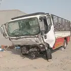 دينا ايسوز 2022