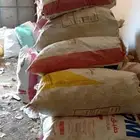 ينبع البحر