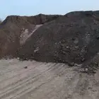 سماد عضوي