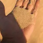 رمل احمر الفريش