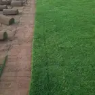 ثيل طبيعي درجه اولى مشروط مضمون