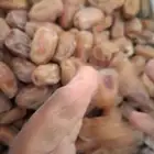 تمر للبيع