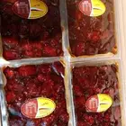 تمر خلاص الكرتون 8 كيلو الكمية 160 كرتون