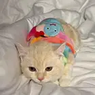 قطوه شيرازي