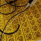 فقاسه 98 بيضه