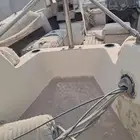 موجود في الاحساء 18 قدم لا توجد عليه اوراق