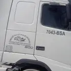 راس فلفو موديل 2013