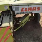 لبانه كلاس او لبانة قلاص للبيع