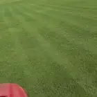 نجيل طبيعي