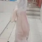 عرض اليوم الوطني حري ذبايح مناسبات ذبائح ثلاجه يوجد توصيل