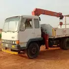 فاو صيني 6 سرندل