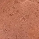 يوجد دفان احمر