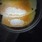 عسل سدر وسمره على الشرط