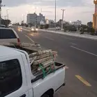 خشب صفصاف تنور