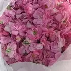 ورد  طايفي _ومنتجاته