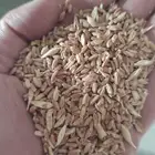 متوفر حب بر وزن 40 كيلو