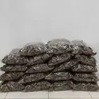 عود طبيعي بسعر اقتصادي وجودة مميز