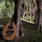 عازف عود محترف