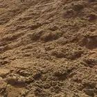 رمل احمر الفريش