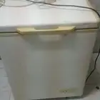 فريزه مجمده