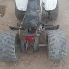 دباب