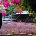 مزرعة الشلال بنقبين