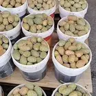 برشوم الشعف للبيع