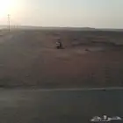 مطلوب حظاير دواجن للايجار التواصل