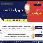 المدينه المنوره الحمرا هاء 4قرب مستشفى التخصصي