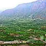 لدي سياره وارغب بالعمل