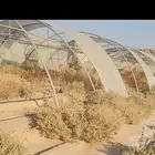 بيوت محميه مجلفنه نظيفه