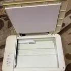 الرقيقة بالهفوف