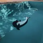 مسبح للبيع ..