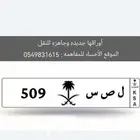 للبيع لوحه 509