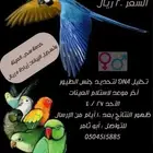 تحليل DNA للطيور