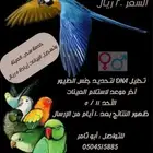 تحليل DNA للطيور