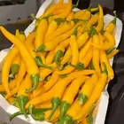 صالة خضار مطلوب شريك مالي