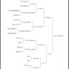 مهره واهو