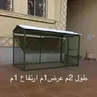 شبك غنم قزمي للبيع