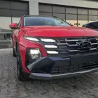 استقبال vip من مطار القاهرة الدولي