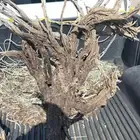 صندوق هيلكس غماره