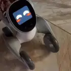 ريبورت لونا