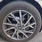 جنوط النترا