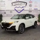 دونج فينج ميج لون ابيض وفضي 2026 كاش واقساط
