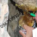 خلطة عسل السدر محفزة الأنجاب بأذن الله من منتوجات العسل